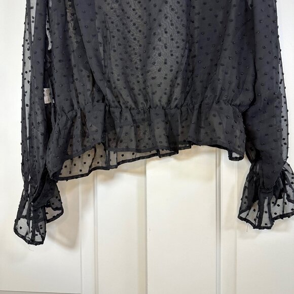 Black Sheer Swiss Dot Ruffle Trim Flounce Sleeve Top - Picture 13 of 13